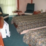 Hotel Bradul Covasna Romania