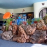 receptia - Hotel Florica
