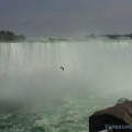 Niagara