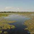 Prezentare generala Delta Dunarii