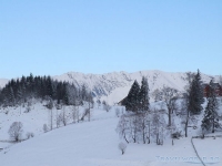 Sirnea, primul sat turistic din Romania